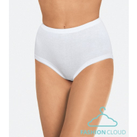 Nina v. C, Tailienslip