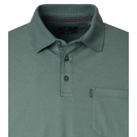 Herren Poloshirt, Langarm, grün,