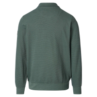 Herren Sweatjacke, grün